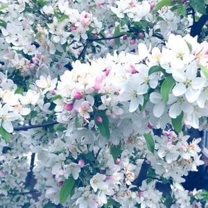 Meet your Posher, Jessy